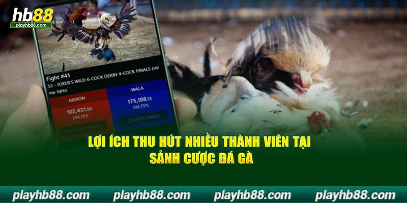 Lợi ích thu hút nhiều thành viên tại sảnh cược đá gà hb88