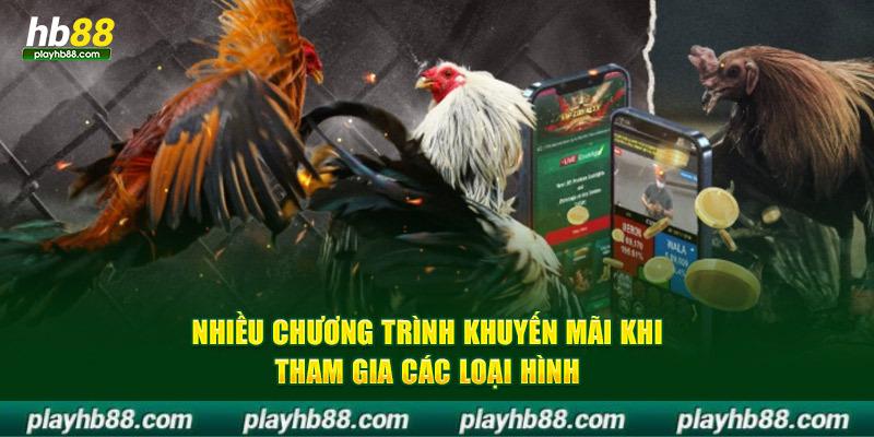 Nhiều chương trình khuyến mãi khi tham gia các loại hình đá gà hb88