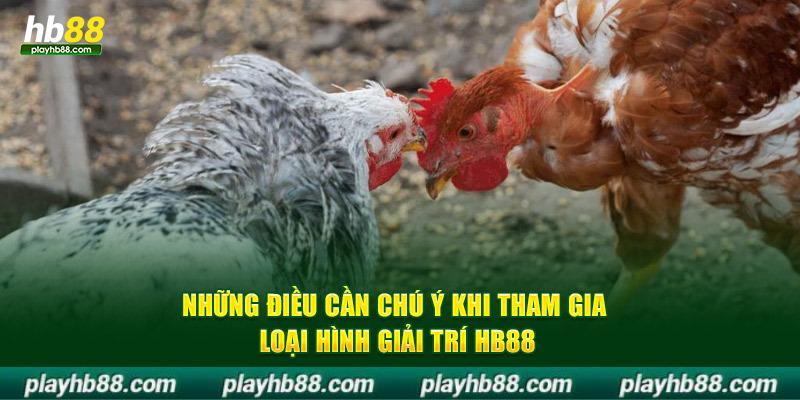 Những điều cần chú ý khi tham gia loại hình giải trí HB88